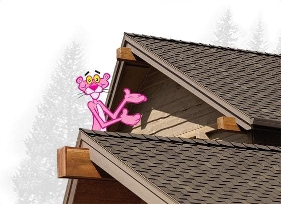 Owens Corning Woodmoor shingles in brown on a roof and their mascot